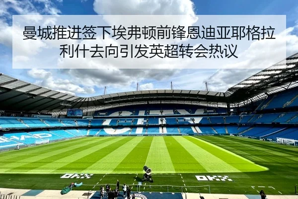 曼城推进签下埃弗顿前锋恩迪亚耶格拉利什去向引发英超转会热议