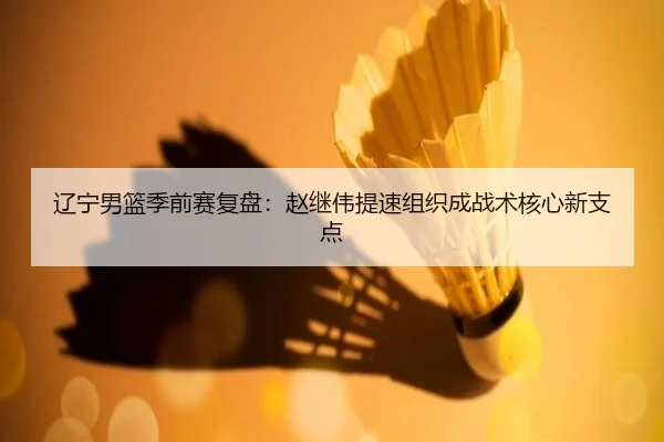 辽宁男篮季前赛复盘：赵继伟提速组织成战术核心新支点